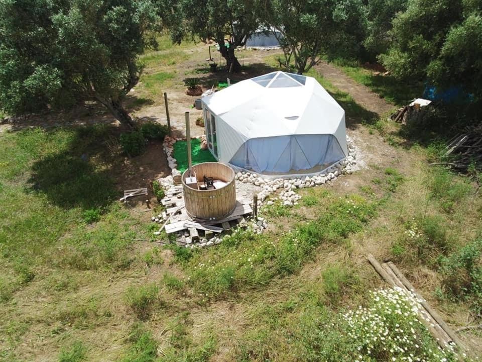 Forest Domes سيتوبال المظهر الخارجي الصورة