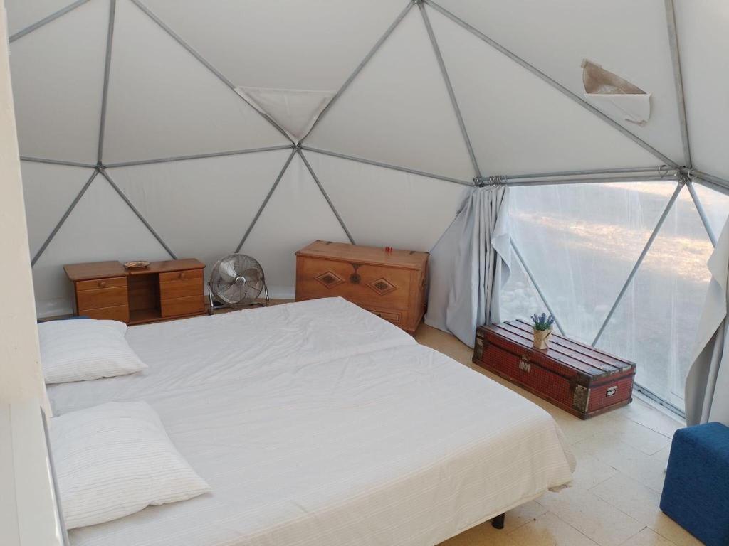 Forest Domes سيتوبال المظهر الخارجي الصورة